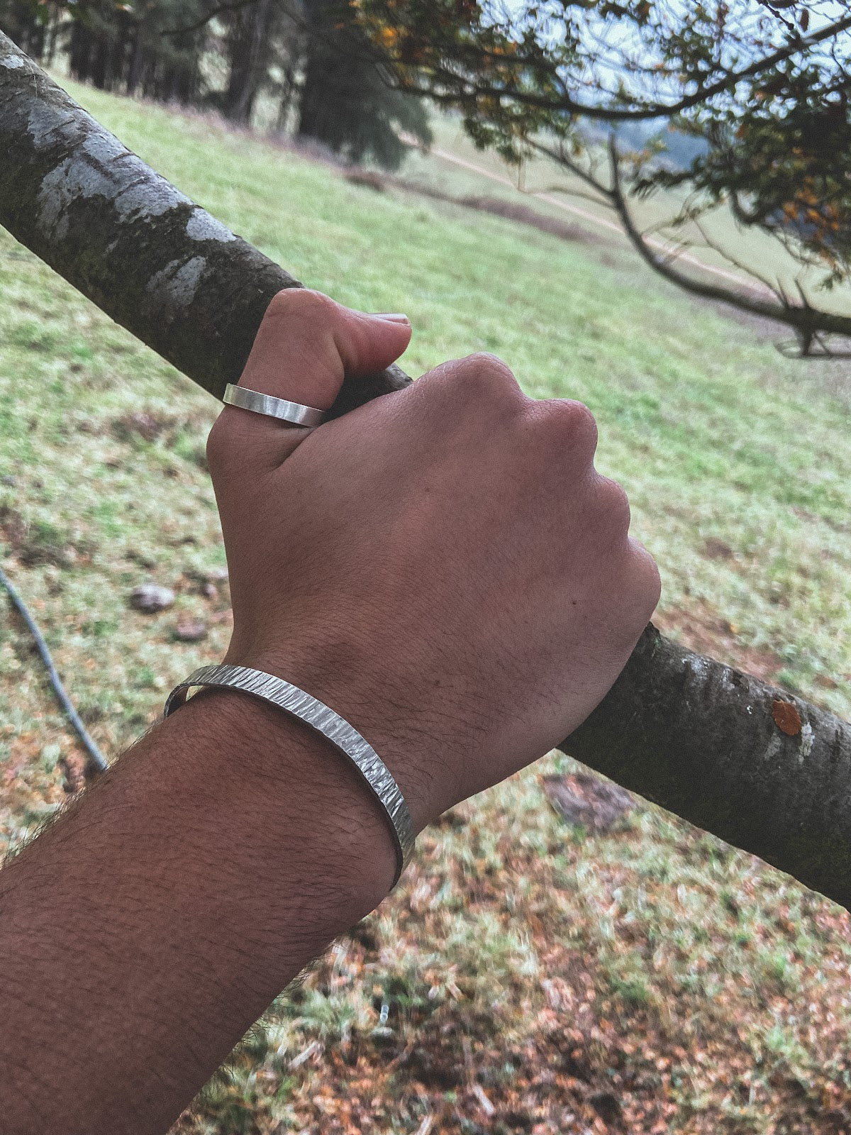 Pulsera Plata Rayada Hombre en la naturaleza