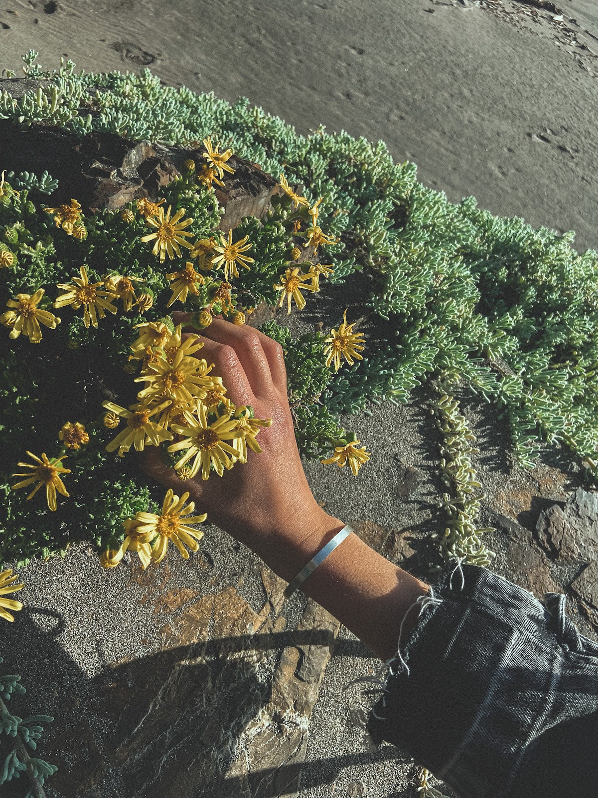 Pulsera Plata Lisa Mujer en la naturaleza