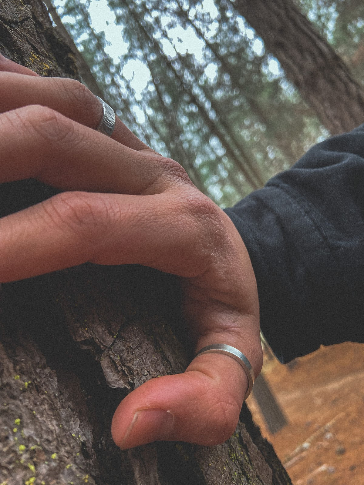Anillo Plata Liso Hombre en la naturaleza