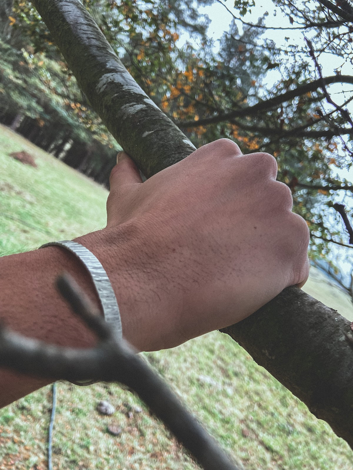Pulsera Plata Rayada Hombre en la naturaleza
