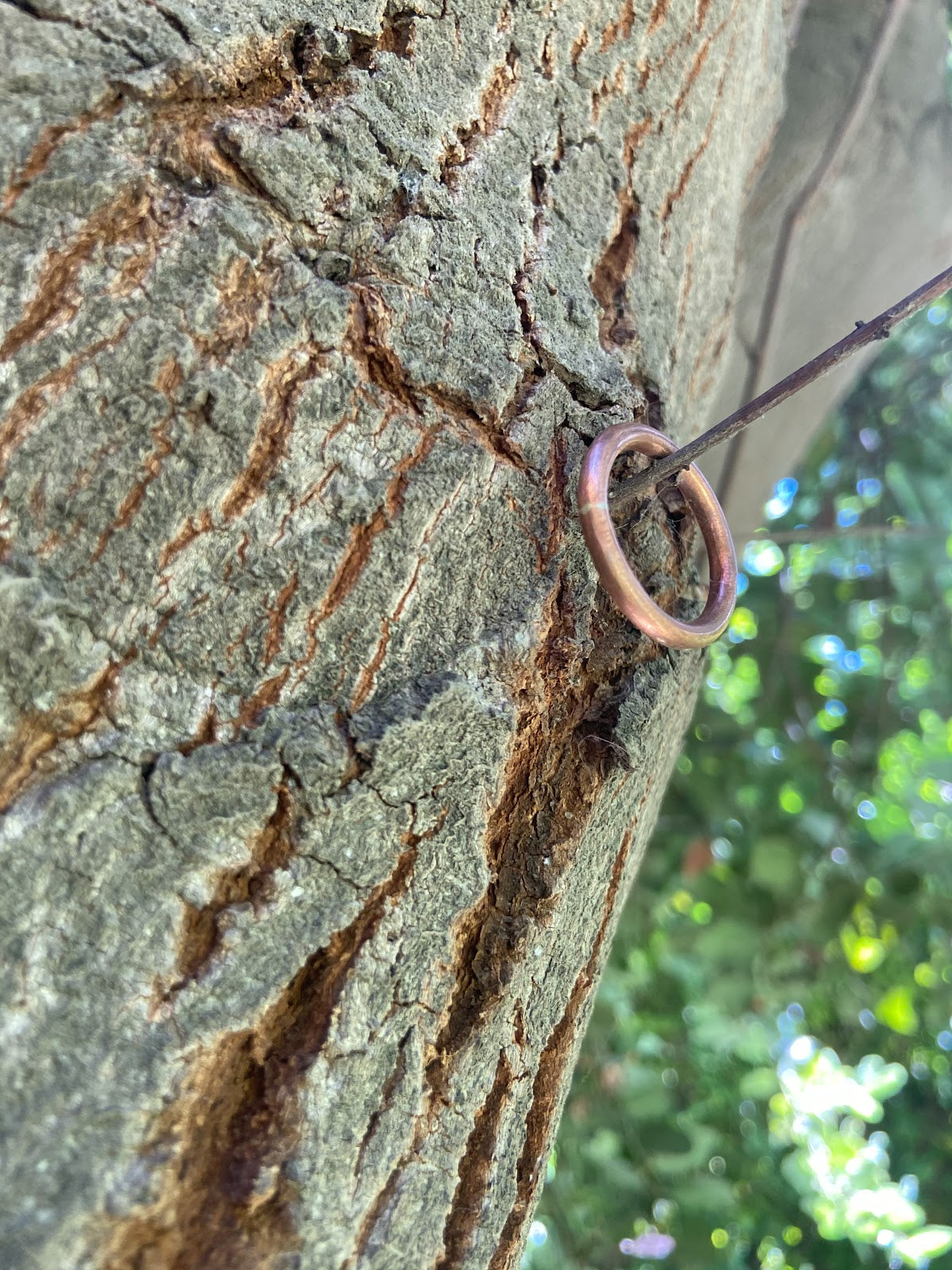 Anillo Cobre Liso Hombre en la naturaleza