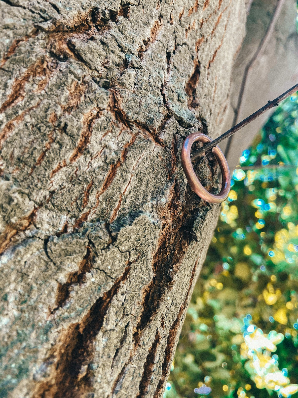 Anillo Cobre Liso Hombre en la naturaleza