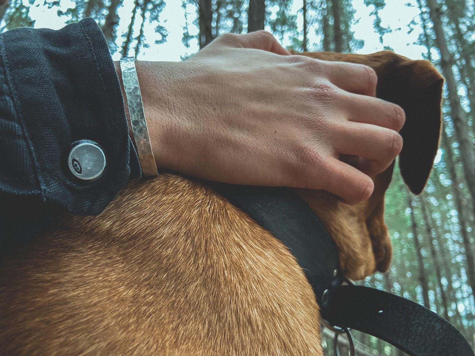 Pulsera Plata Martillada Hombre en la naturaleza