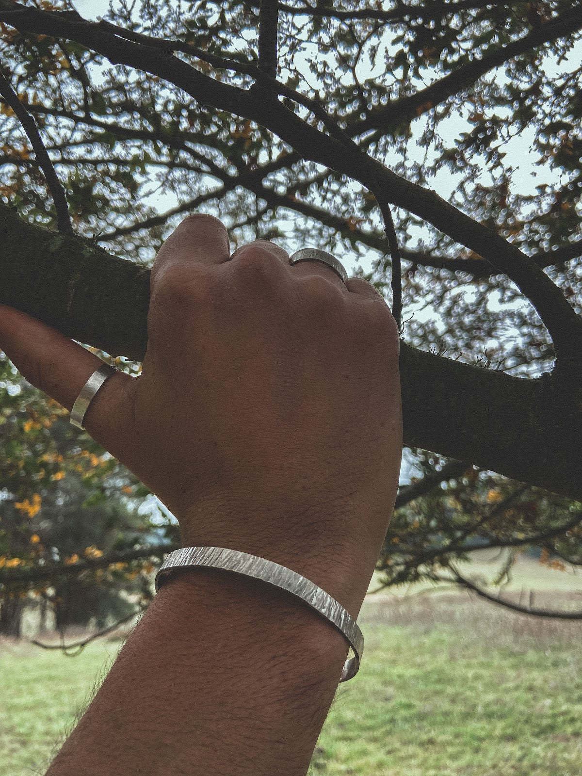 Pulsera Plata Rayada Hombre en la naturaleza