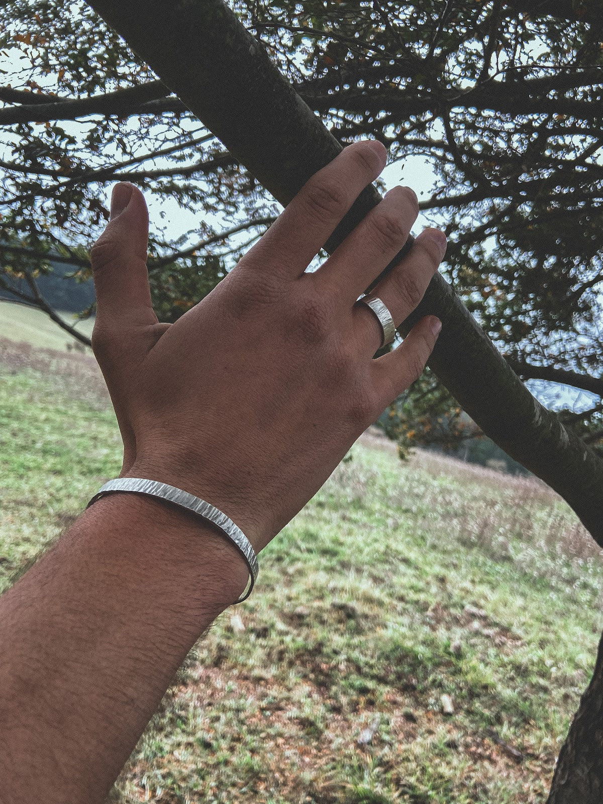 Pulsera Plata Rayada Hombre en la naturaleza