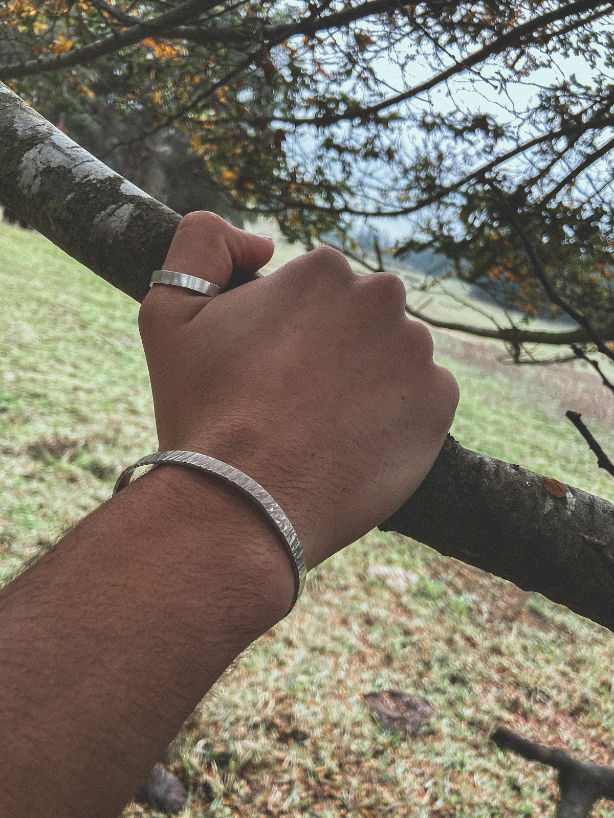 Pulsera Plata Rayada Hombre en la naturaleza