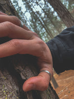 Anillo Plata Liso Hombre en la naturaleza