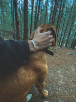 Pulsera Plata Martillada Hombre en la naturaleza
